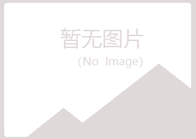 湖北夏岚采矿有限公司